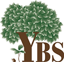 Young Business Solutions, LLC Logo
